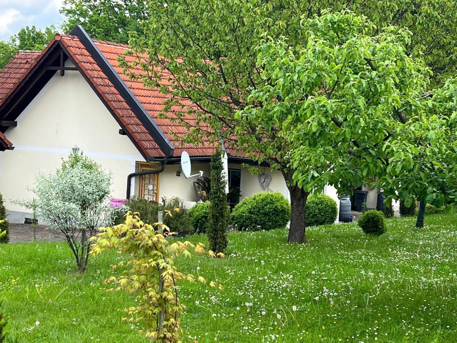 Ferienwohnung Dorner Шпилфелд Екстериор снимка